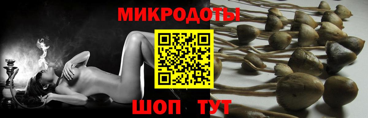 Псилоцибиновые грибы мицелий  сколько стоит  Узловая  Вход с VPN 